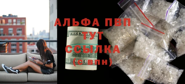 PSILOCYBIN Верхний Тагил