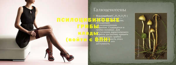 ПСИЛОЦИБИНОВЫЕ ГРИБЫ Верхнеуральск