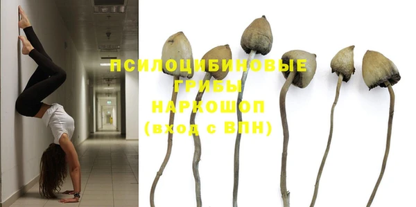 PSILOCYBIN Верхний Тагил