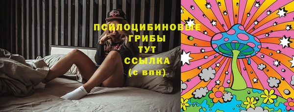 ПСИЛОЦИБИНОВЫЕ ГРИБЫ Верхнеуральск