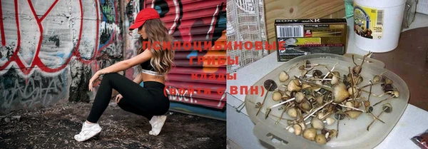 ПСИЛОЦИБИНОВЫЕ ГРИБЫ Верхнеуральск