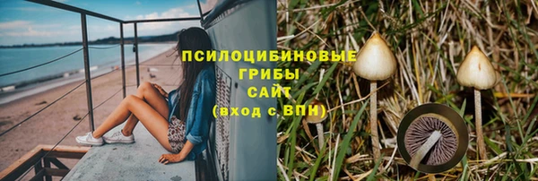 ПСИЛОЦИБИНОВЫЕ ГРИБЫ Верхнеуральск