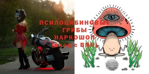 ПСИЛОЦИБИНОВЫЕ ГРИБЫ Верхнеуральск