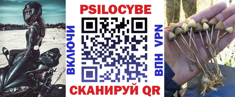 Галлюциногенные грибы мицелий  Купить закладки  Коряжма 